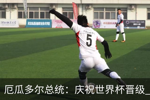 厄瓜多尔总统：庆祝世界杯晋级 全国放假一天